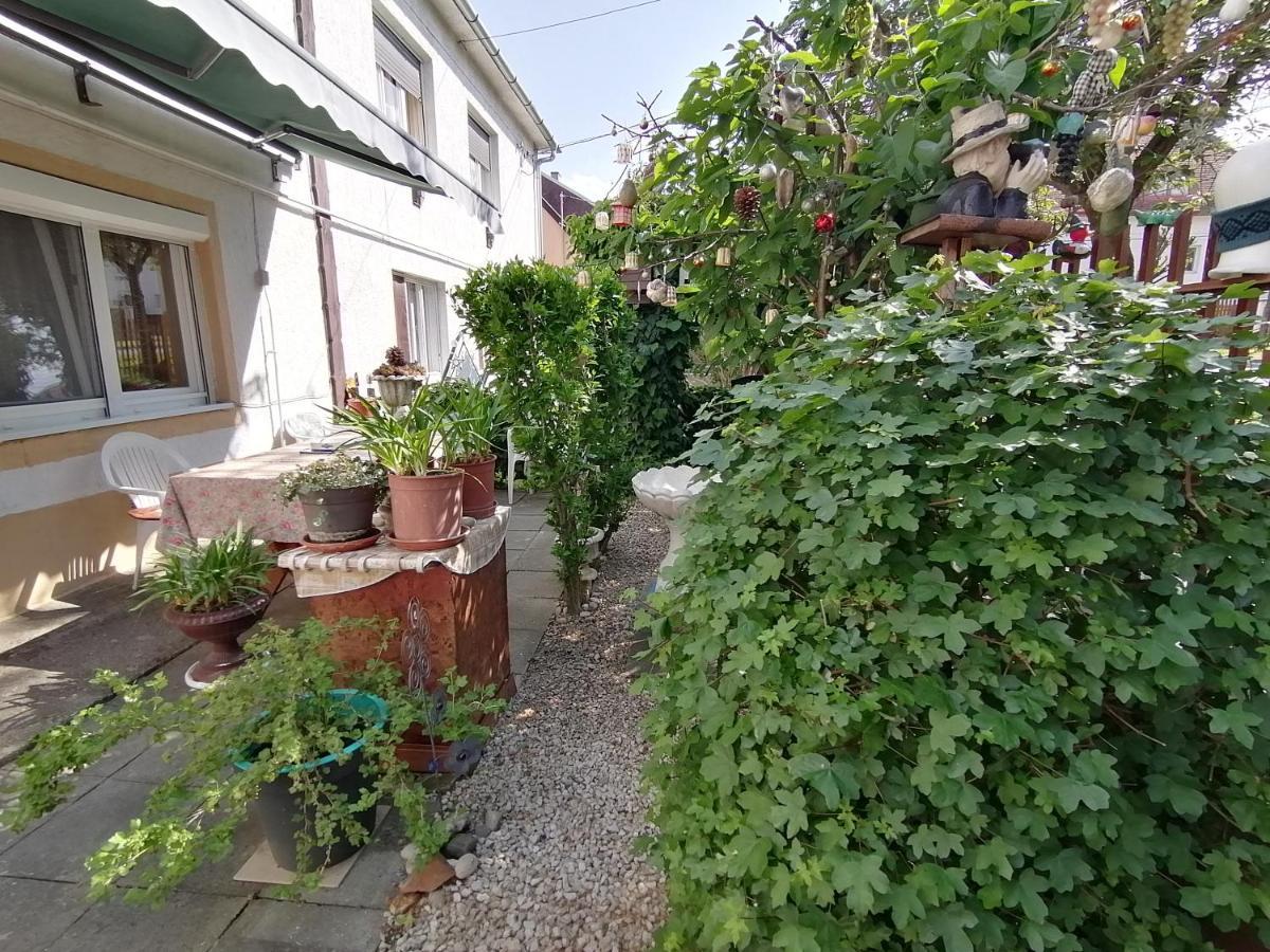 Ildiko Vendeghaz Heviz Apartment Exterior photo