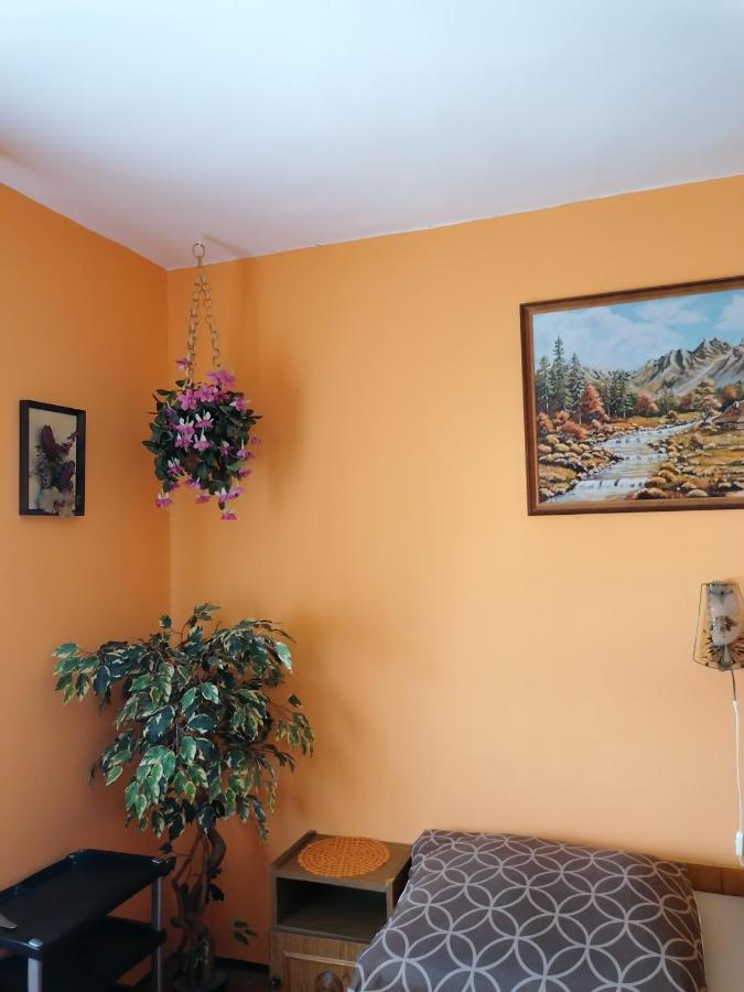Ildiko Vendeghaz Heviz Apartment Exterior photo